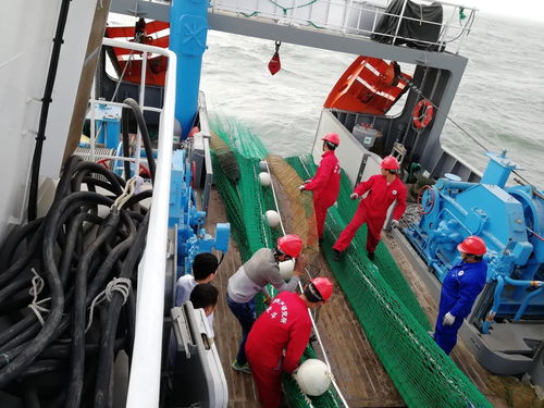 黃海水產(chǎn)研究所 北斗 號(hào)調(diào)查船 中漁科102 號(hào)調(diào)查船圓滿完成任務(wù)返航