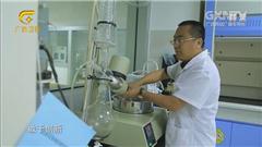 海事青春 八桂新風行20190728